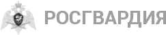 Росгвардия Пермь